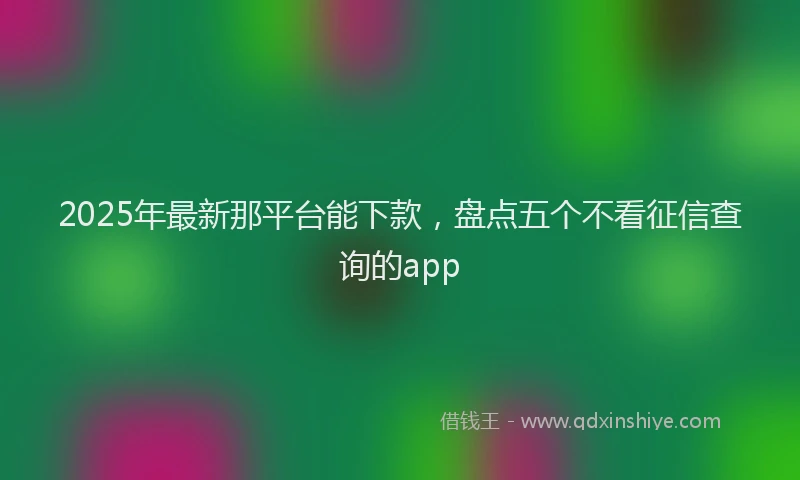 2025年最新那平台能下款，盘点五个不看征信查询的app