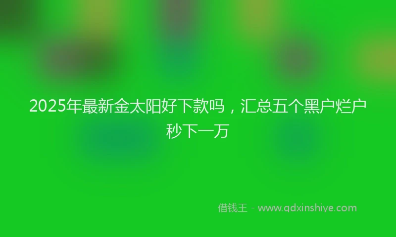 2025年最新金太阳好下款吗，汇总五个黑户烂户秒下一万