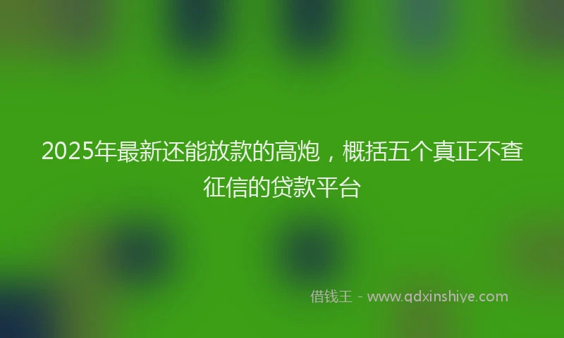 2025年最新还能放款的高炮，概括五个真正不查征信的贷款平台