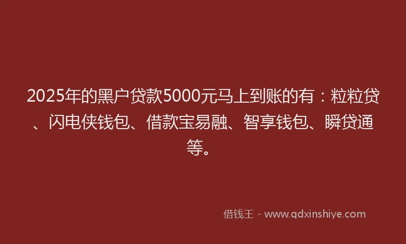2025年的黑户贷款5000元马上到账的有：粒粒贷、闪电侠钱包、借款宝易融、智享钱包、瞬贷通等。