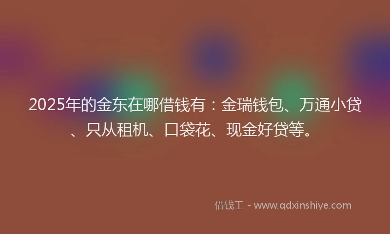 2025年的金东在哪借钱有：金瑞钱包、万通小贷、只从租机、口袋花、现金好贷等。