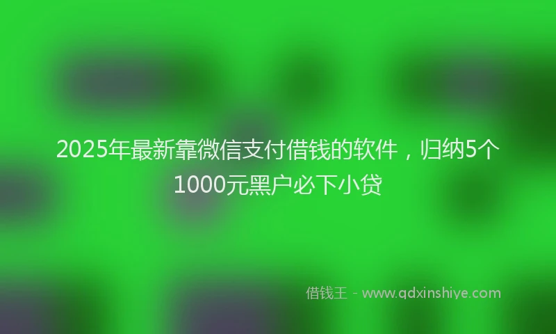 2025年最新靠微信支付借钱的软件，归纳5个1000元黑户必下小贷
