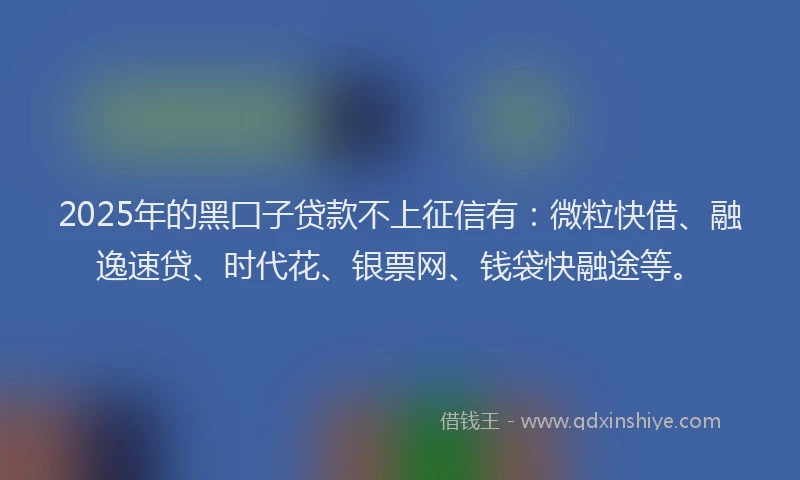 2025年的黑囗子贷款不上征信有：微粒快借、融逸速贷、时代花、银票网、钱袋快融途等。
