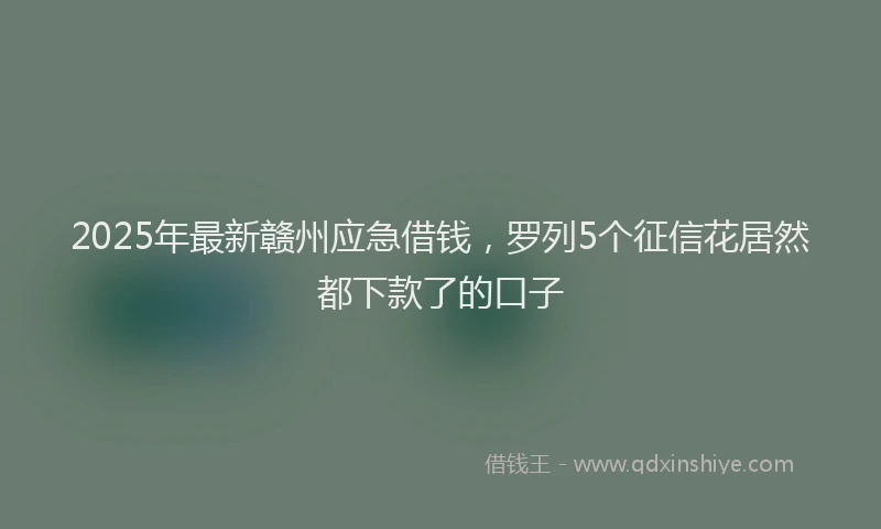 2025年最新赣州应急借钱，罗列5个征信花居然都下款了的口子
