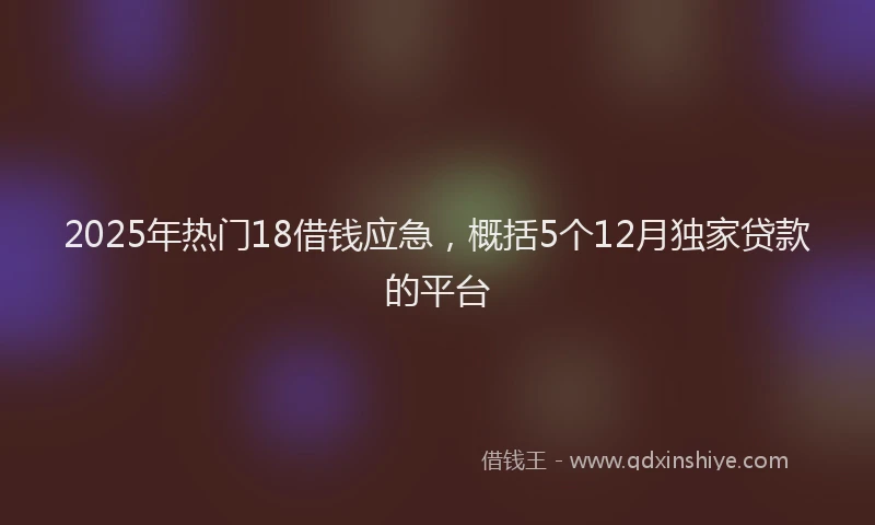2025年热门18借钱应急，概括5个12月独家贷款的平台
