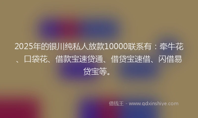 2025年的银川纯私人放款10000联系有：牵牛花、口袋花、借款宝速贷通、借贷宝速借、闪借易贷宝等。