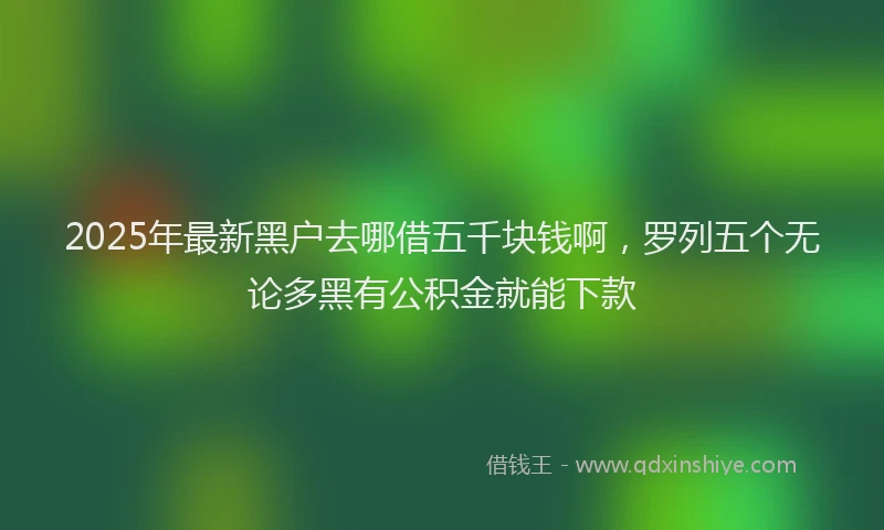 2025年最新黑户去哪借五千块钱啊，罗列五个无论多黑有公积金就能下款