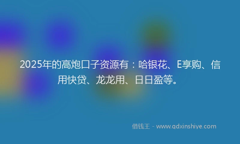 2025年的高炮口子资源有：哈银花、E享购、信用快贷、龙龙用、日日盈等。
