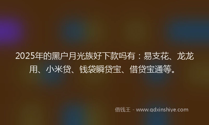2025年的黑户月光族好下款吗有：易支花、龙龙用、小米贷、钱袋瞬贷宝、借贷宝通等。