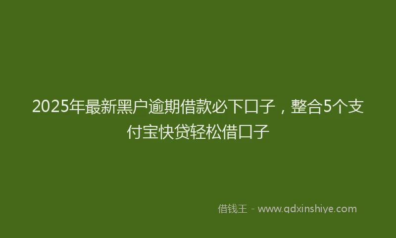 2025年最新黑户逾期借款必下口子，整合5个支付宝快贷轻松借口子
