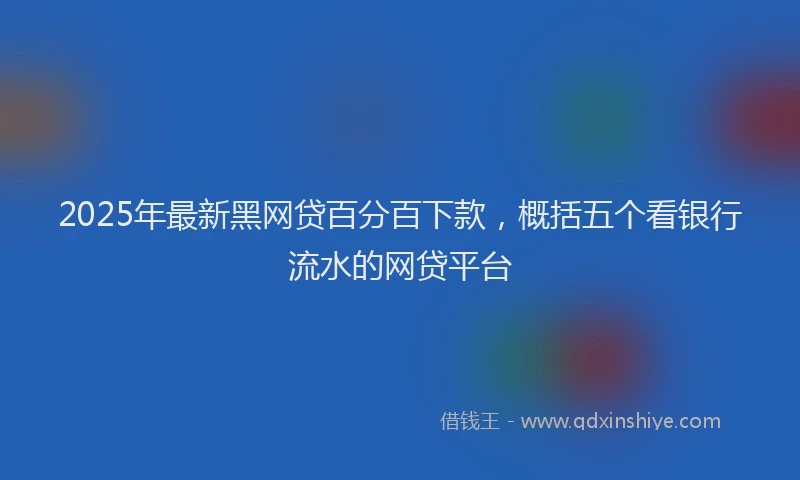 2025年最新黑网贷百分百下款，概括五个看银行流水的网贷平台