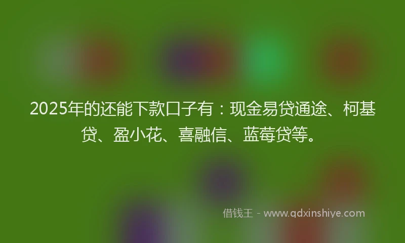 2025年的还能下款口子有：现金易贷通途、柯基贷、盈小花、喜融信、蓝莓贷等。