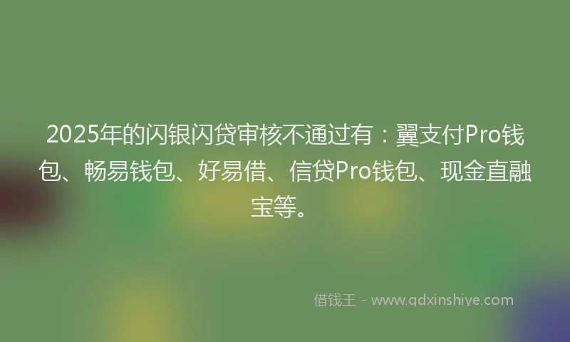 2025年的闪银闪贷审核不通过有：翼支付Pro钱包、畅易钱包、好易借、信贷Pro钱包、现金直融宝等。