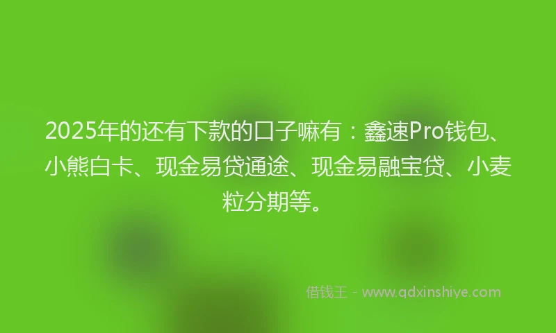 2025年的还有下款的口子嘛有：鑫速Pro钱包、小熊白卡、现金易贷通途、现金易融宝贷、小麦粒分期等。