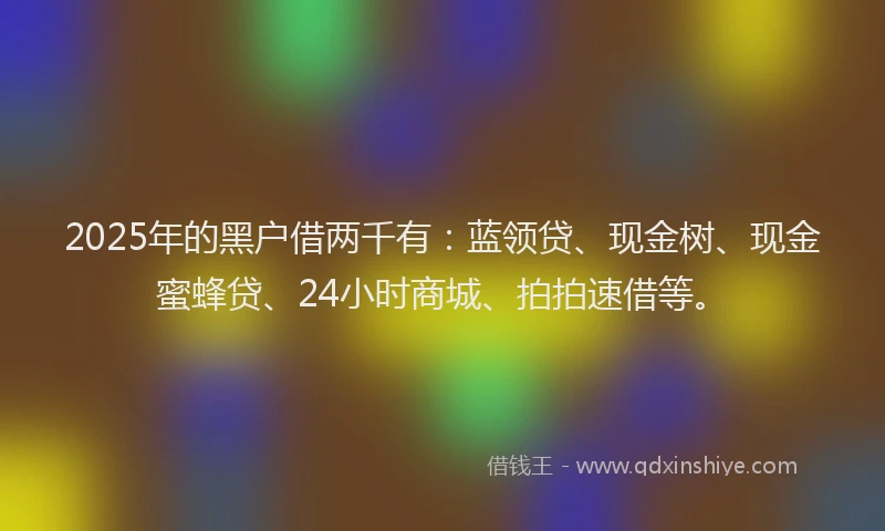 2025年的黑户借两千有：蓝领贷、现金树、现金蜜蜂贷、24小时商城、拍拍速借等。