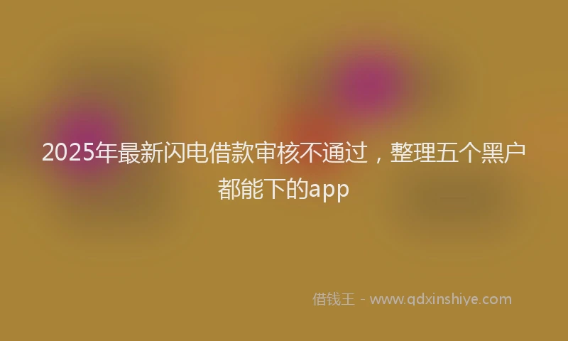 2025年最新闪电借款审核不通过，整理五个黑户都能下的app