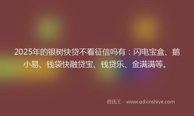 2025年的银树快贷不看征信吗有：闪电宝盒、鹅小易、钱袋快融贷宝、钱贷乐、金满满等。