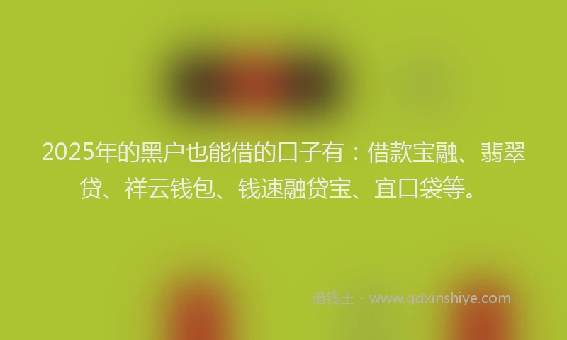 2025年的黑户也能借的口子有：借款宝融、翡翠贷、祥云钱包、钱速融贷宝、宜口袋等。