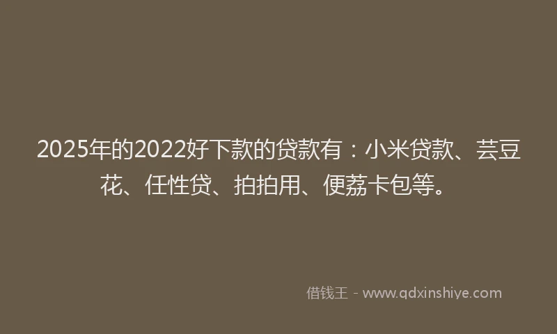 2025年的2022好下款的贷款有：小米贷款、芸豆花、任性贷、拍拍用、便荔卡包等。