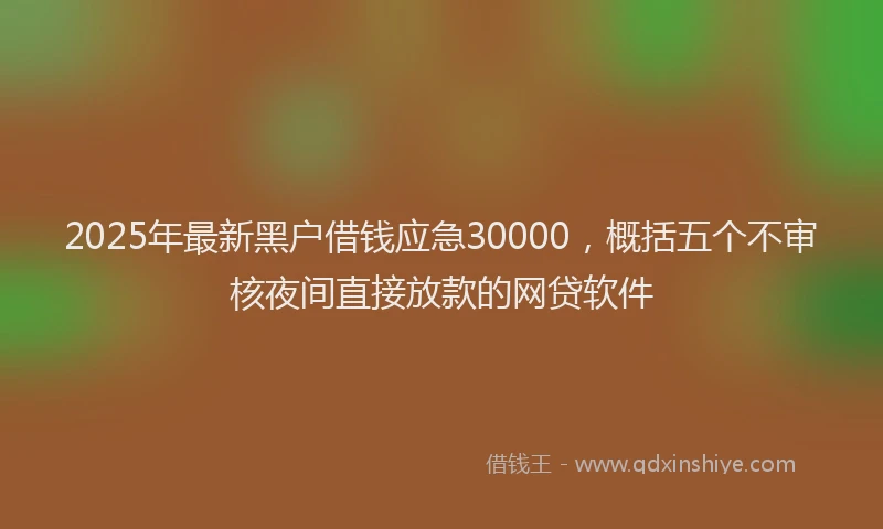 2025年最新黑户借钱应急30000，概括五个不审核夜间直接放款的网贷软件