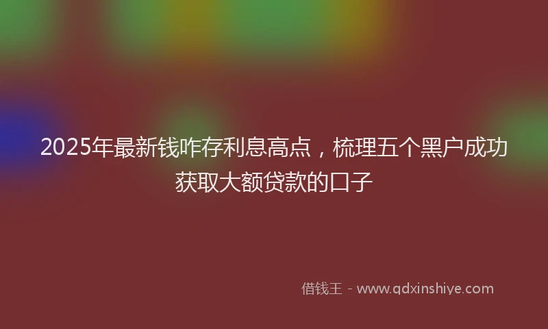 2025年最新钱咋存利息高点，梳理五个黑户成功获取大额贷款的口子