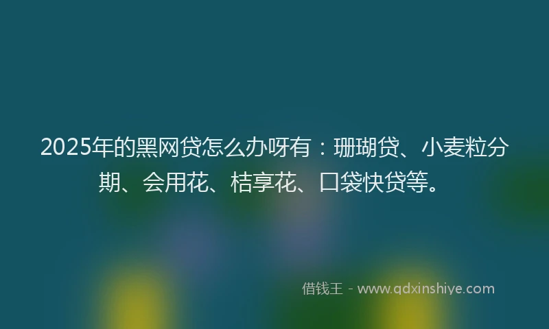 2025年的黑网贷怎么办呀有：珊瑚贷、小麦粒分期、会用花、桔享花、口袋快贷等。