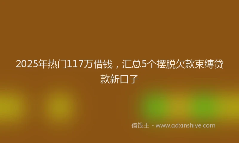 2025年热门117万借钱，汇总5个摆脱欠款束缚贷款新口子