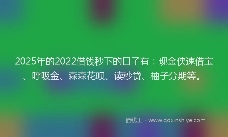 2025年的2022借钱秒下的口子有：现金侠速借宝、呼吸金、森森花呗、读秒贷、柚子分期等。