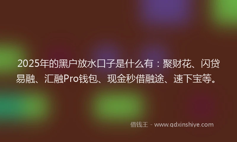 2025年的黑户放水口子是什么有：聚财花、闪贷易融、汇融Pro钱包、现金秒借融途、速下宝等。