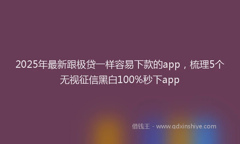 2025年最新跟极贷一样容易下款的app，梳理5个无视征信黑白100%秒下app