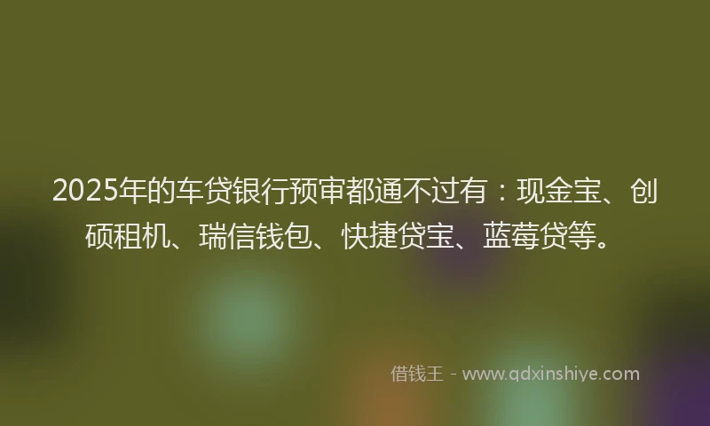 2025年的车贷银行预审都通不过有：现金宝、创硕租机、瑞信钱包、快捷贷宝、蓝莓贷等。