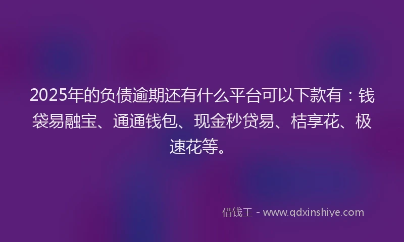 2025年的负债逾期还有什么平台可以下款有：钱袋易融宝、通通钱包、现金秒贷易、桔享花、极速花等。
