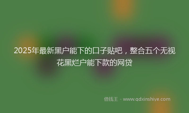 2025年最新黑户能下的口子贴吧，整合五个无视花黑烂户能下款的网贷
