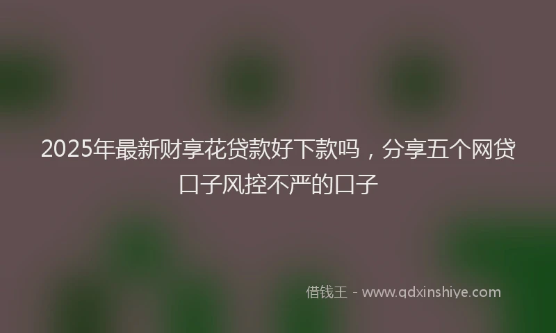 2025年最新财享花贷款好下款吗，分享五个网贷口子风控不严的口子