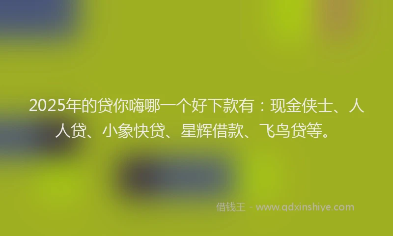 2025年的贷你嗨哪一个好下款有：现金侠士、人人贷、小象快贷、星辉借款、飞鸟贷等。