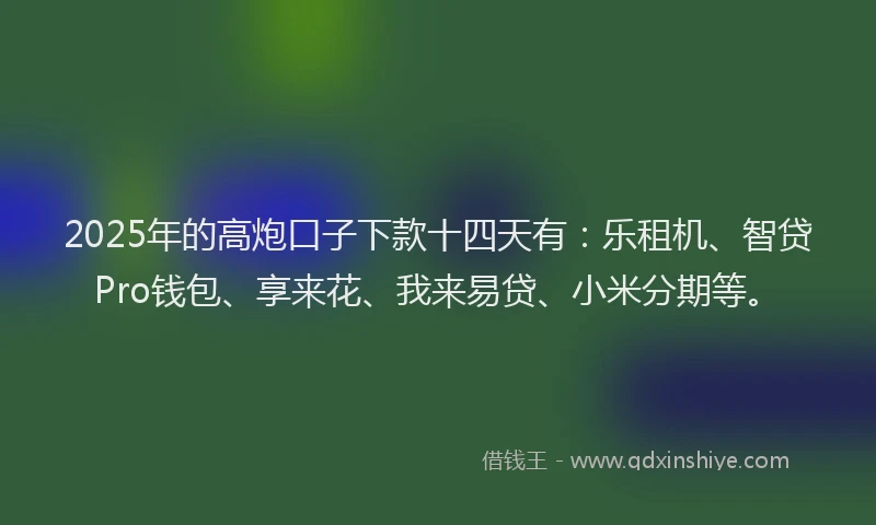 2025年的高炮口子下款十四天有：乐租机、智贷Pro钱包、享来花、我来易贷、小米分期等。