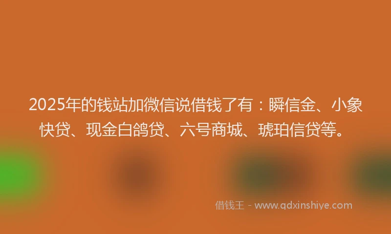 2025年的钱站加微信说借钱了有：瞬信金、小象快贷、现金白鸽贷、六号商城、琥珀信贷等。