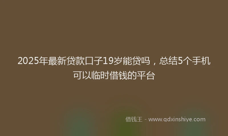 2025年最新贷款口子19岁能贷吗，总结5个手机可以临时借钱的平台