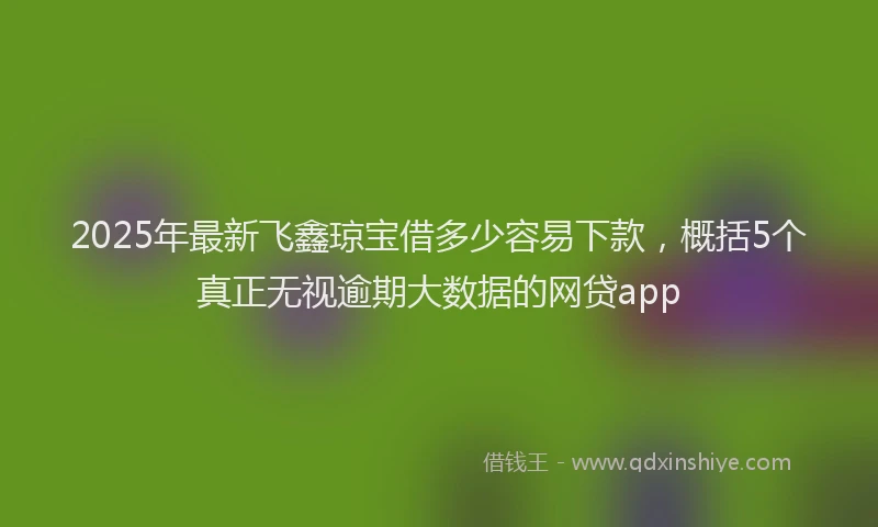 2025年最新飞鑫琼宝借多少容易下款，概括5个真正无视逾期大数据的网贷app