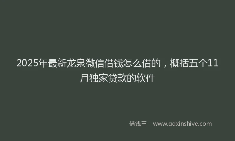 2025年最新龙泉微信借钱怎么借的，概括五个11月独家贷款的软件