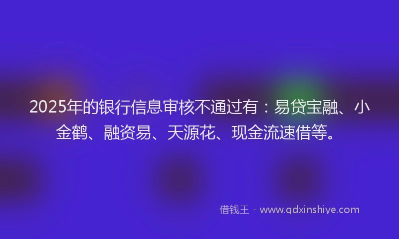 2025年的银行信息审核不通过有：易贷宝融、小金鹤、融资易、天源花、现金流速借等。