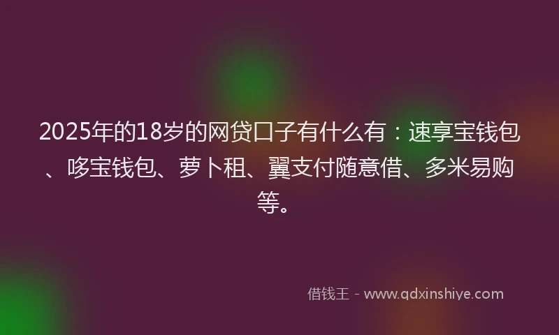 2025年的18岁的网贷口子有什么有：速享宝钱包、哆宝钱包、萝卜租、翼支付随意借、多米易购等。