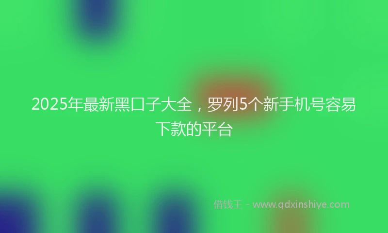 2025年最新黑口子大全，罗列5个新手机号容易下款的平台