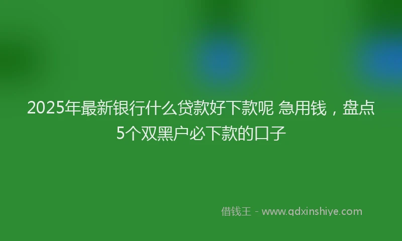 2025年最新银行什么贷款好下款呢 急用钱，盘点5个双黑户必下款的口子