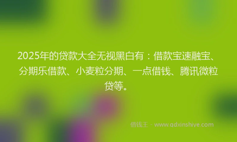 2025年的贷款大全无视黑白有：借款宝速融宝、分期乐借款、小麦粒分期、一点借钱、腾讯微粒贷等。