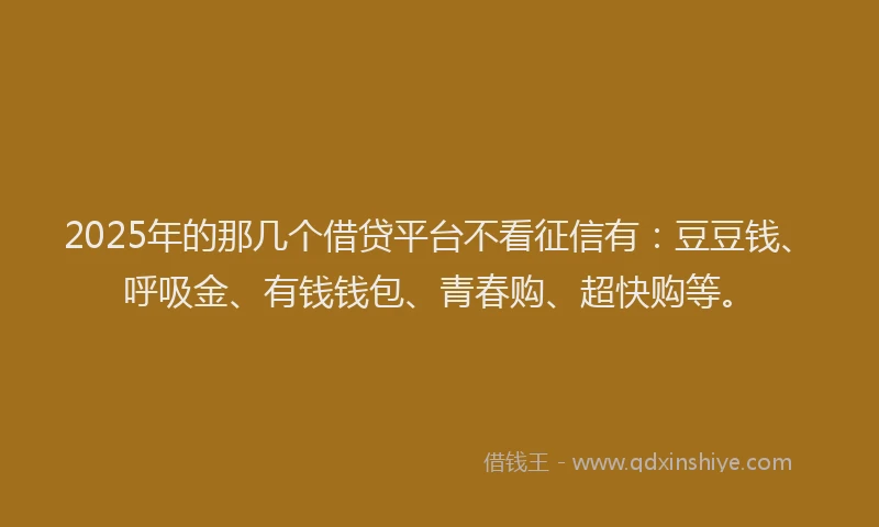 2025年的那几个借贷平台不看征信有：豆豆钱、呼吸金、有钱钱包、青春购、超快购等。