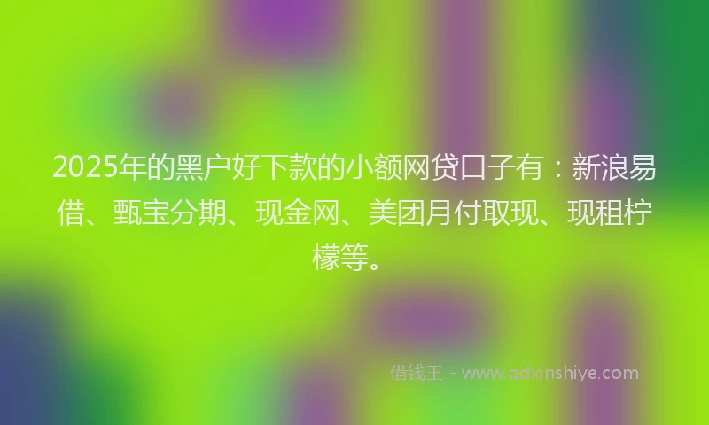 2025年的黑户好下款的小额网贷口子有：新浪易借、甄宝分期、现金网、美团月付取现、现租柠檬等。