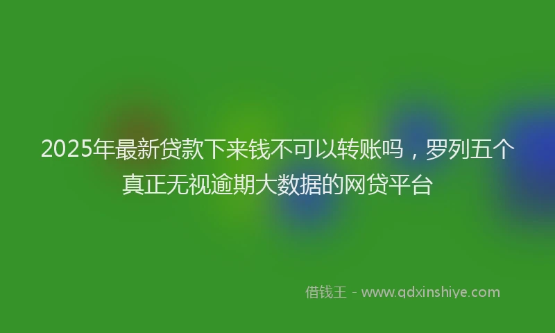 2025年最新贷款下来钱不可以转账吗，罗列五个真正无视逾期大数据的网贷平台