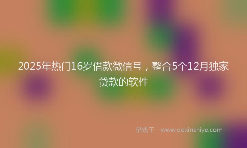 2025年热门16岁借款微信号，整合5个12月独家贷款的软件