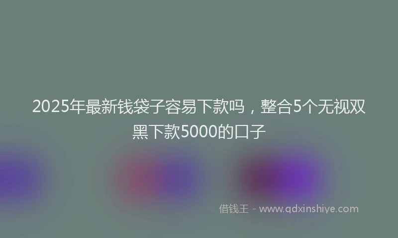 2025年最新钱袋子容易下款吗，整合5个无视双黑下款5000的口子